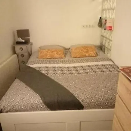 Le Cocon Apartment Dijon